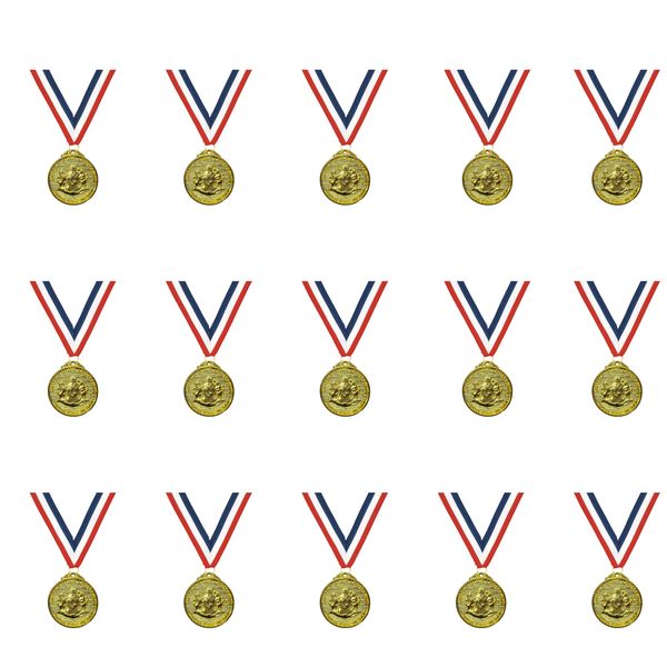KZN Sports, Arts &amp; Culture Achievement Medals - Pack of 15