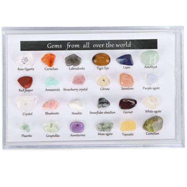 Toy Kids Geology Gemstone 24 Pieces Collection Kit