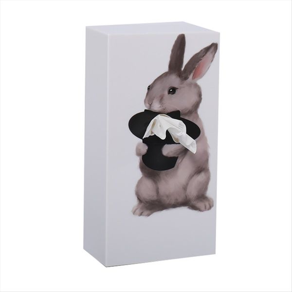Cartoon Animal Tissue Box Creatives Tissue Box B