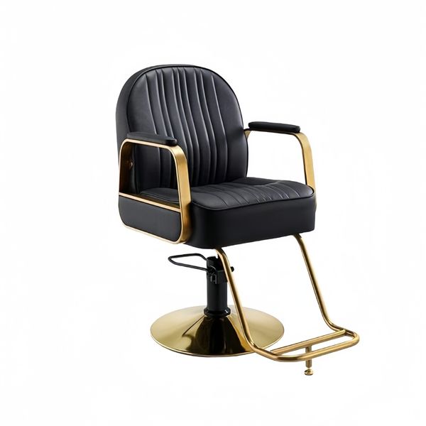 Recliner Salon Barber Chair Makeup Tattoo Station Barbershop Home