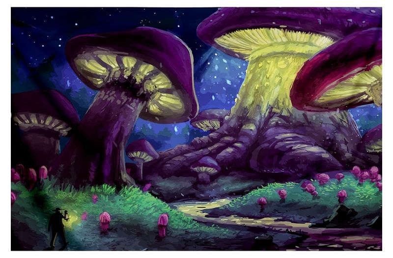 3D Printed Wall Hanging Flannel Tapestry - Enchanted Mushrooms - Home Decor