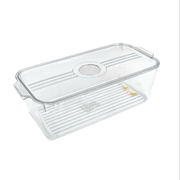 Large Fridge &amp; Pantry Storage Tray Container with Lid and Drain Hole