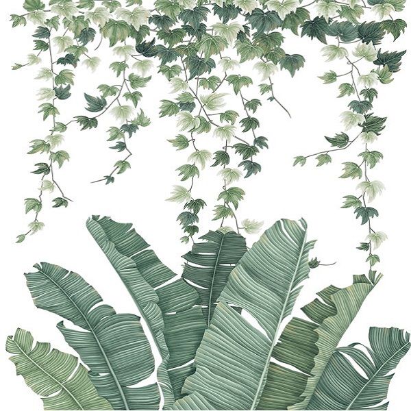 Plant Leaves and Hanging Vines Art Sticker for Wall Decoration