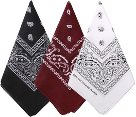 3 Pack 100% Cotton Paisley Pattern Bandanas | Shop Today. Get it