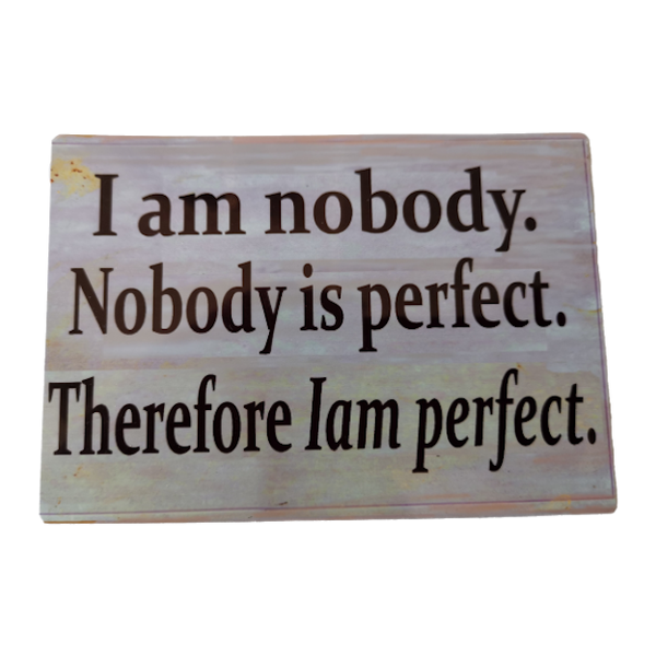 Fun Metal Plate With Magnet I am Nobody Nobody is Perfect I am Perfect
