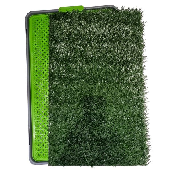 Pawise Green Trainer Training Mat