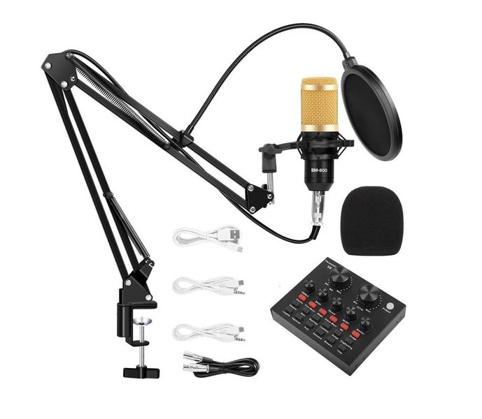 Microphone BM 800 Condenser With V8 Sound Card Kit With Shock Mount