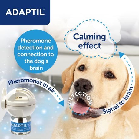 Adaptil calm clearance 30 day refill