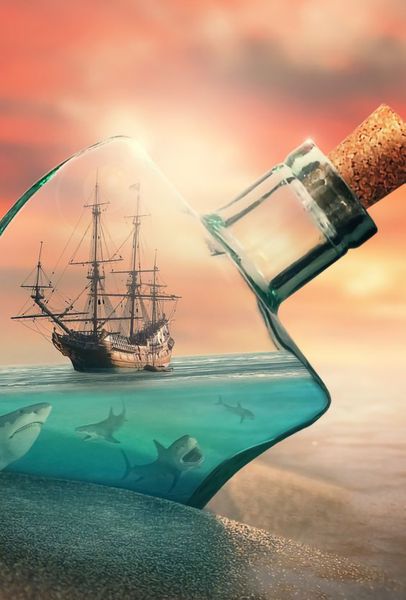 Canvas Wall Art - Shark Bottle