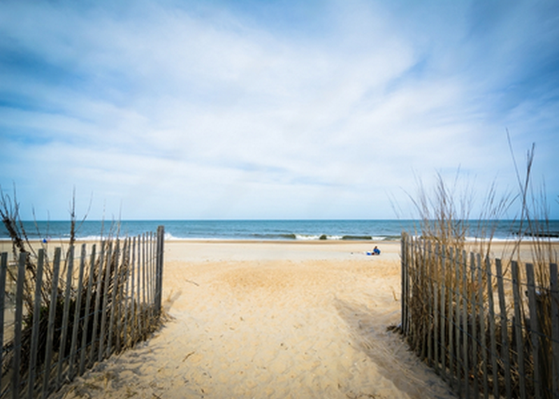 Canvas Wall Art - Path to the Beach