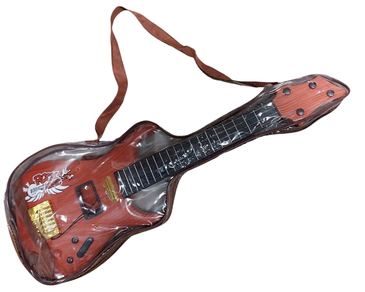 Guitar with Guitar Bag