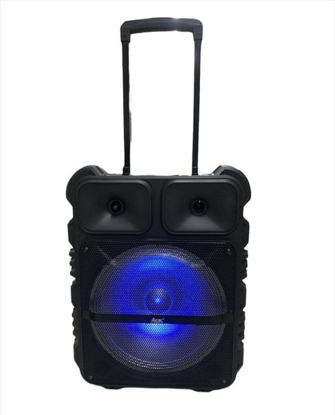 S-11201 Aek Cyber 12 Inch Trolley Speaker