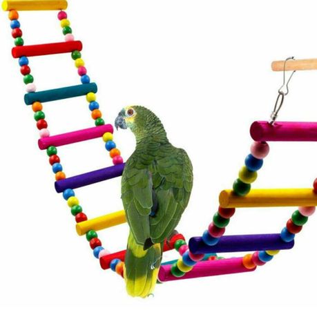 Pets at home parrot toys best sale