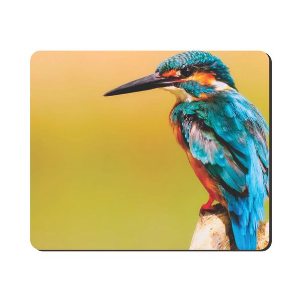Mouse Pad - Kingfisher