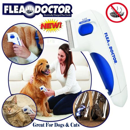 Electric flea shop comb for dogs