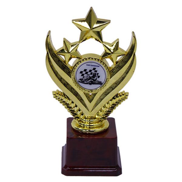 Go-Kart Show Gold Star Award Polished Gold Finish Trophy with Gloss Base