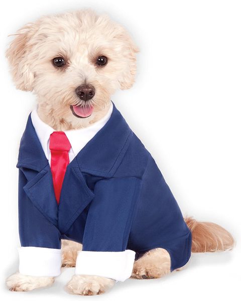 Office Business Suit Pet Costume - Blue - L