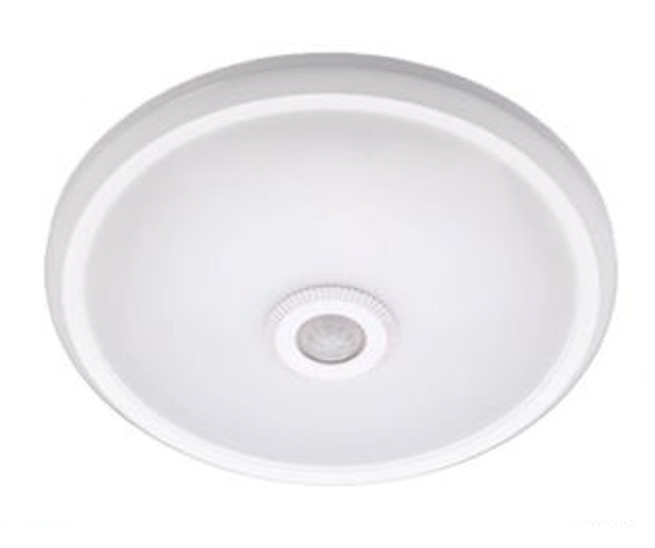 Motion Sensor Ceiling Light