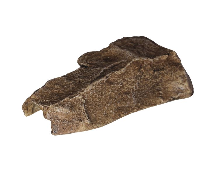 Reptile Slate Rock Hide - Small Cave