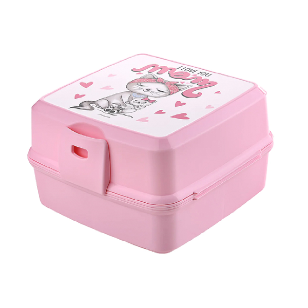 Plastic Lunch Box Designs - Kitro Pink