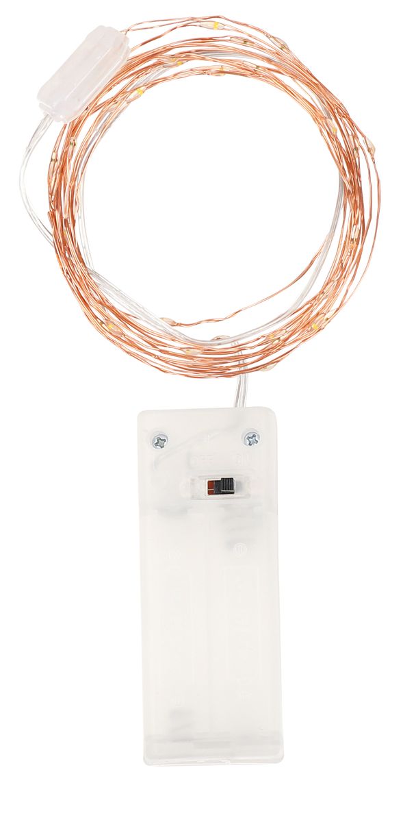 Home Quip Occasional Lights 2,9m / 30 LED Copper Wire Light