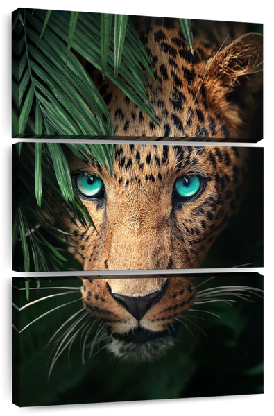 Canvas Art - Leopard Starring 3 Piece Canvas Wall Art Decor