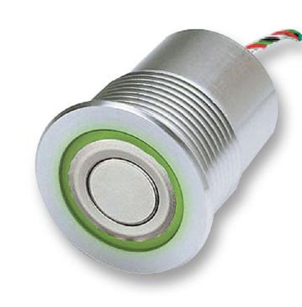 Schurter (1241.6454) Vandal Resistant Switch, MCS, 30.3 mm