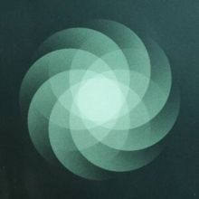 The Shape of Everything (CD / Album)