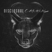 Caracal (Vinyl / 12" Album (Clear vinyl))