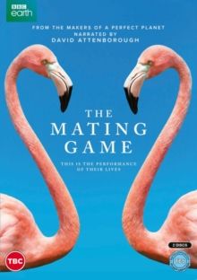 Mating Game(DVD)
