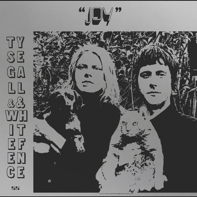 Vinyl / 12" Album image