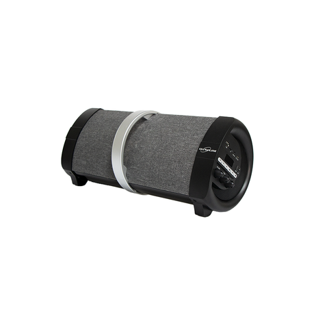 30w speaker