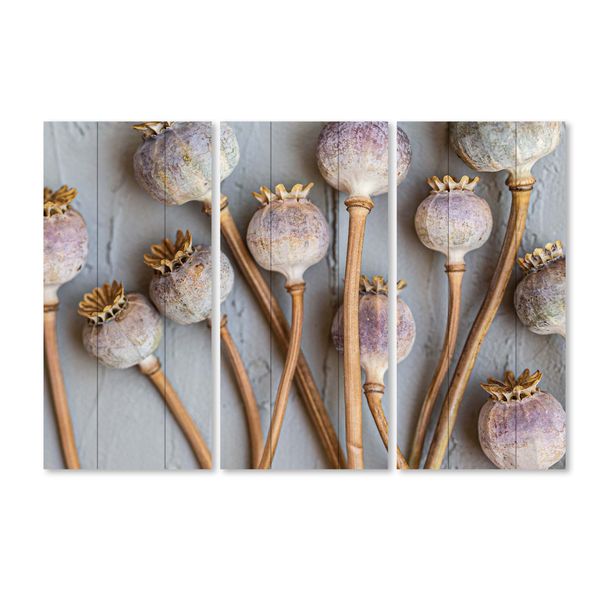 CapeArt MDF 3 Piece Collage Stalks &amp; Stems