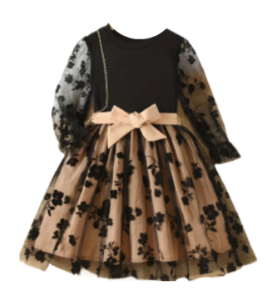 Elegant Black Floral Embroidered Dress for Girls