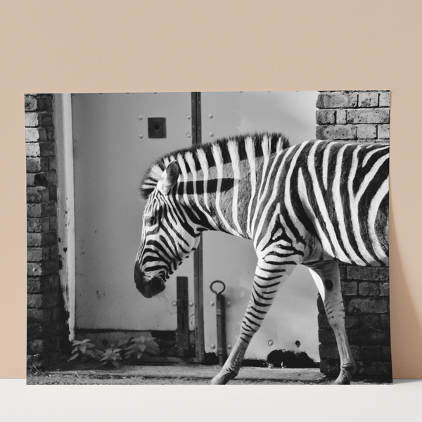Stripes in monochrome Wall Print