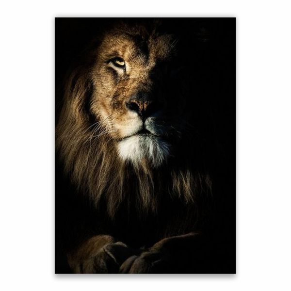 Lion In The Dark Poster - A1