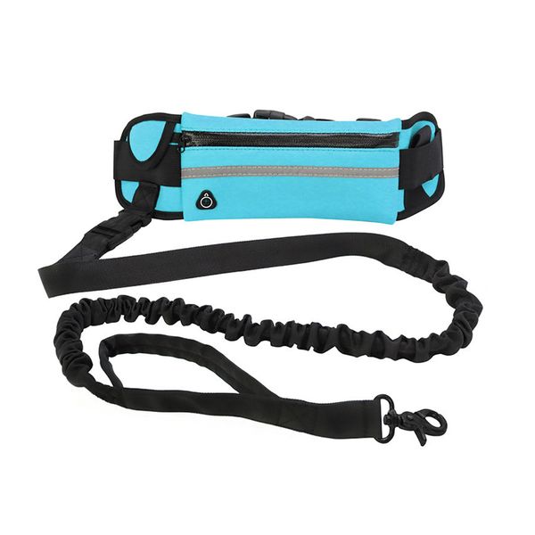 Hands Free Dog Leash with Waist Pack Belt for Running Walking