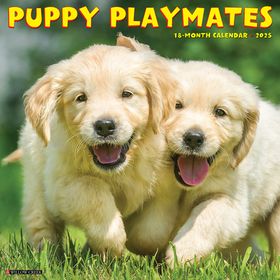 Puppy Playmates 2025 12 X 12 Wall Calendar | Shop Today. Get it