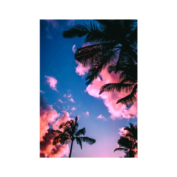 Palm City Red - A1 poster