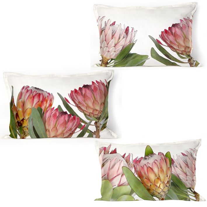 I Love it Here set of Protea Cushions and feather Inners Buy Online