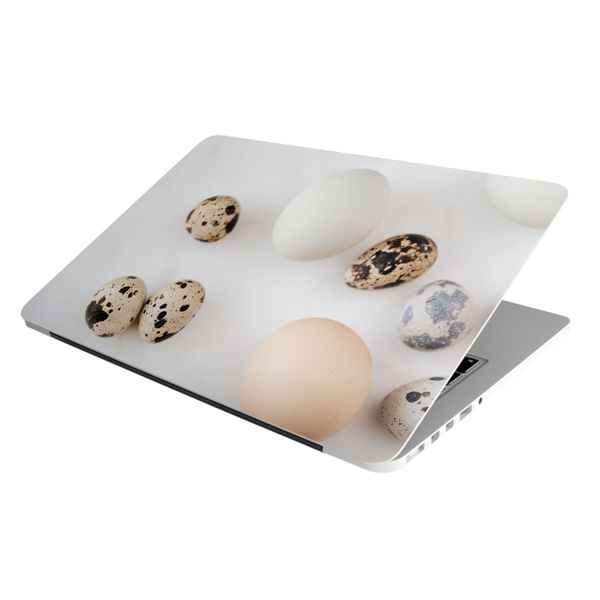 Laptop Skin/Sticker - Eggs Small and Big