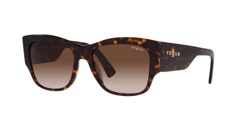 Vogue VO5462S Sunglasses VO5462S W65613 54