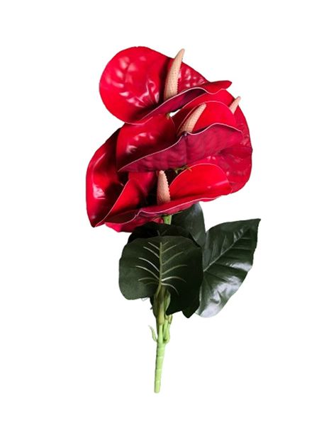 Plastic Anthurium Flower