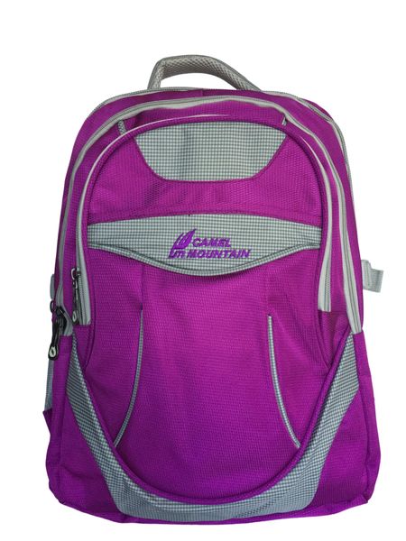 Camel Mountain Laptop backpack - Purple