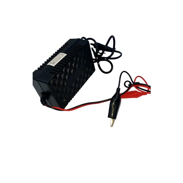 12V 2A Intelligent Pulse Chargers