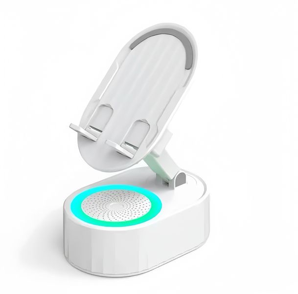 Wireless Induction Bluetooth Speaker