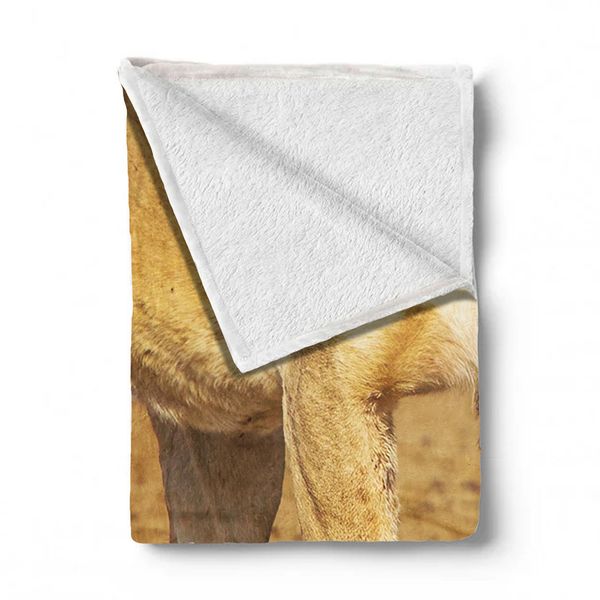 Lioness Strolling In Nossob River Bed Light Weight Fleece Blanket By Fanie Heymans