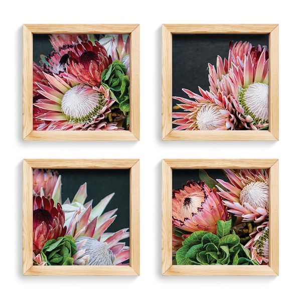 Cape Art Pine Boxed Canvas 4 Piece Collage Protea Blooms