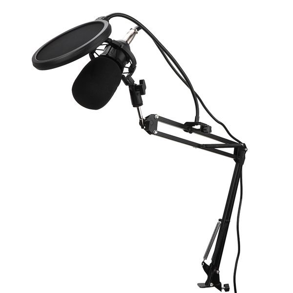 700 Capacitance Karaoke Mic for Phone