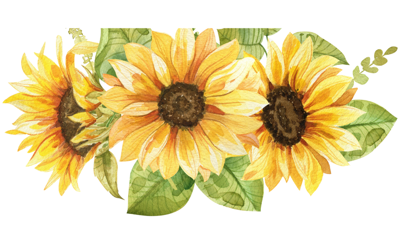 Sunflower Watercolor Wall Vinyl